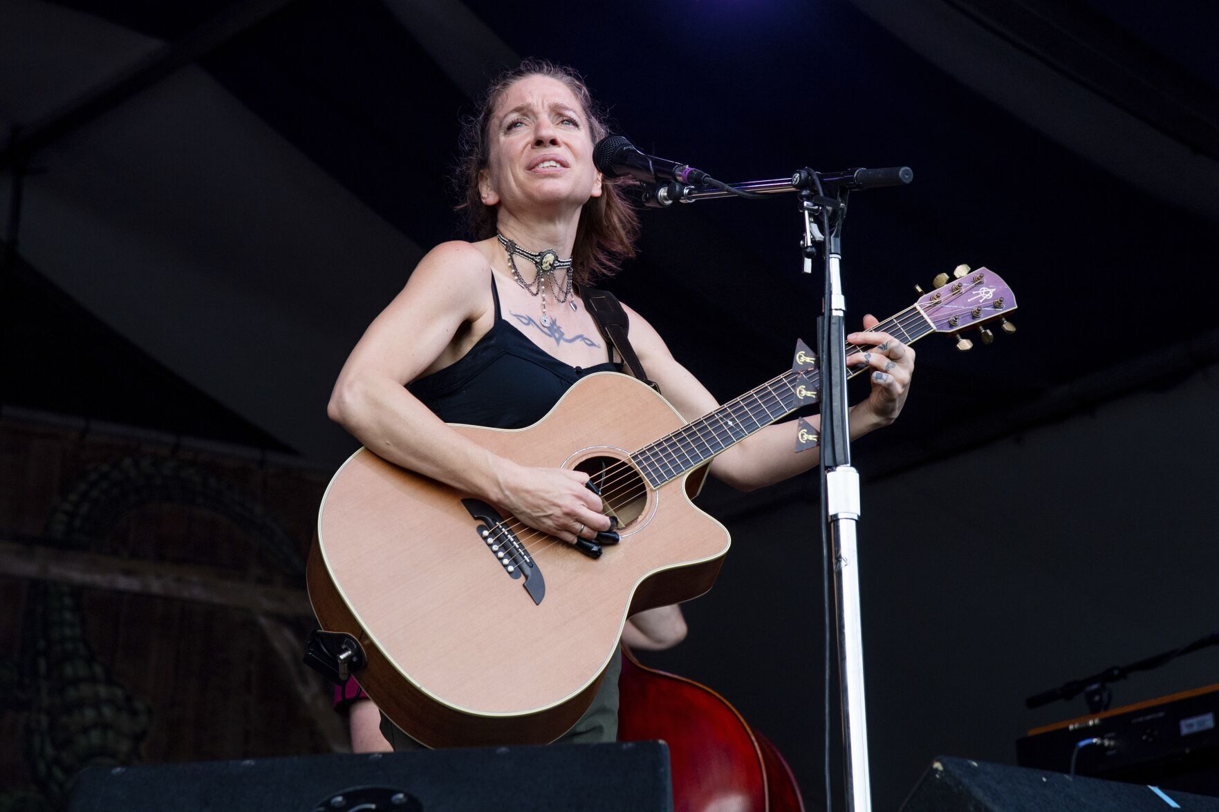 Ani DiFranco